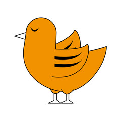 bird vector illustration