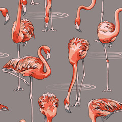Obraz premium Seamless pattern with image of a pink Flamingo on a beige background. Vector illustration.
