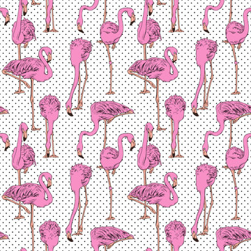 Seamless pattern with image of a pink Flamingo on a polka dot  background. Vector illustration.
