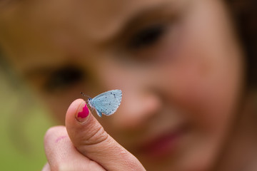 Girl looking at holly blue butterfly on finger. Child intently examining small insect in the family Lycaenidae © iredding01