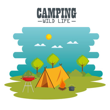 camping wild life concept