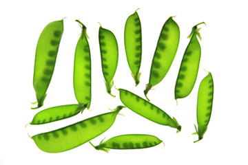 Kefe, Zuckerschote, Zuckererbse (Pisum sativum) Schoten isoliert vor weißem Hintergrund