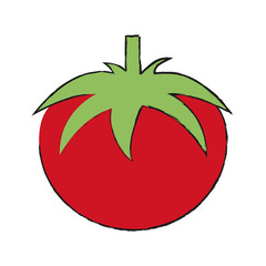 Colorful tomato doodle over white background vector illustration