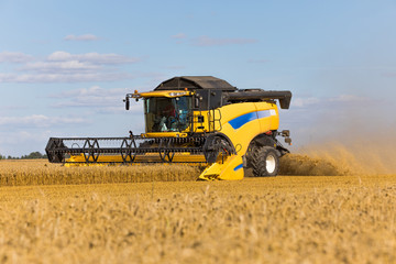 Obraz premium Yellow combine harvester on a wheat field with blue sky