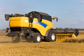 Yellow combine harvester on a wheat field with blue sky