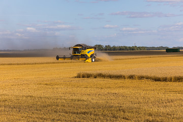 Fototapeta premium Yellow combine harvester on a wheat field with blue sky