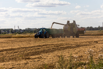 Combine harvester on a wheat field with tractor