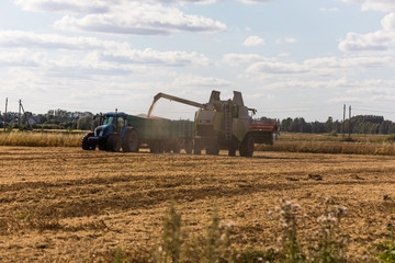 Naklejka premium Combine harvester on a wheat field with tractor