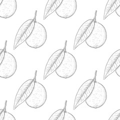 Lime fruits. Hand drawn sketch as seamless pattern