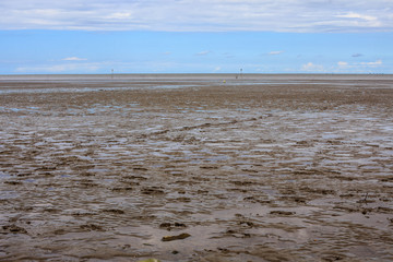 Watt an der Nordseeküste