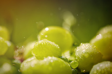 delicious grape