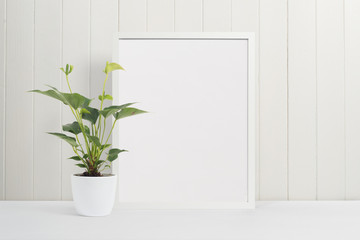 White picture frame with large plant in white plant pot