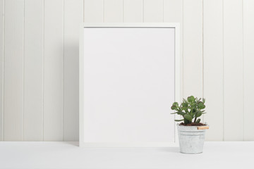 White picture frame with small green plant with white background