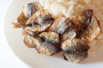 Sticky rice and fried sun-dried fish on plate