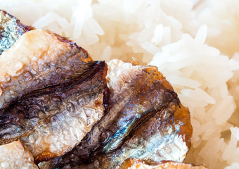 Sticky rice and fried sun-dried fish