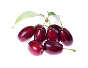 Fresh cornel berries  on an isolated white background