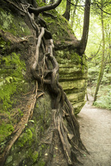 Matthiessen State park