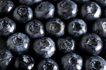 Fresh ripe blueberries pattern dark photo macro