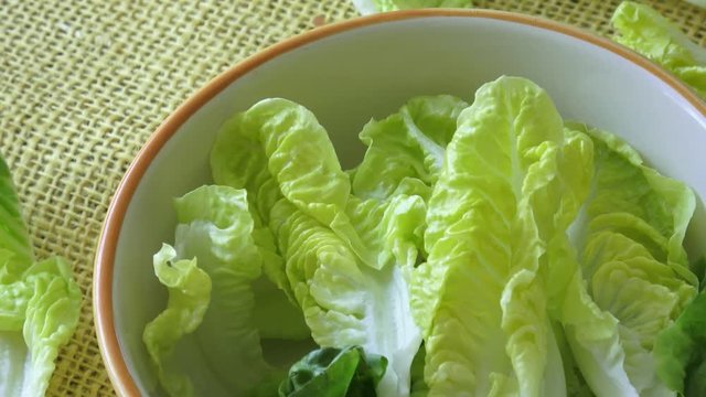 Fresh green lettuce in a salad bowl isolated on yellow background
