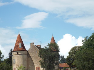 nature sun and animals