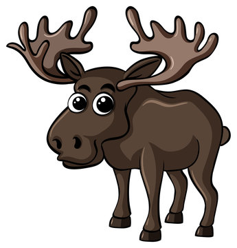 Cute moose on white background