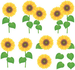 ひまわり（向日葵）のイラスト