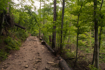 Tatry, Zakopane, Mountains, Poland