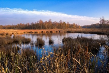 Nature preserve Soos near Frantiskovy Lazne in autumn