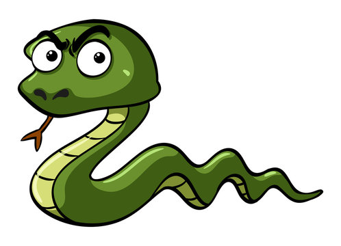 Green snake with serious face