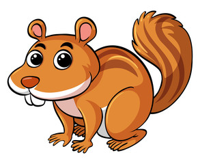 Obraz premium Cute squirrel on white background