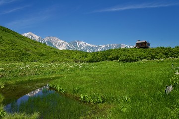 Obraz premium 池と山と緑の湿原
