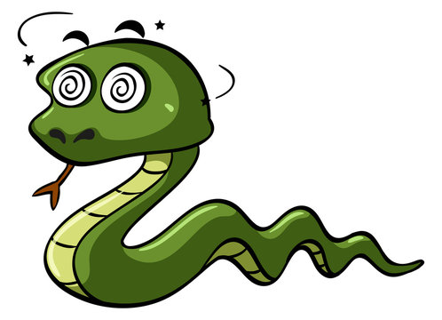 Green snake with dizzy eyes