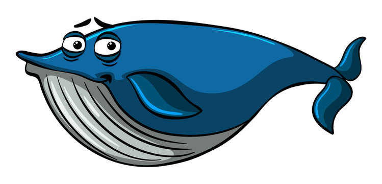 Blue whale with sleepy face