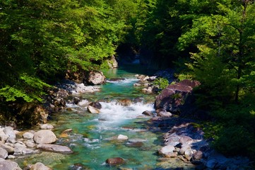Fototapeta na wymiar 阿寺渓谷を流れる川の風景