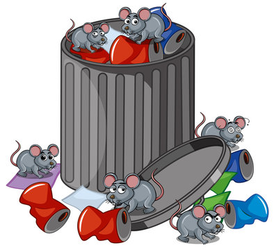 Many rats searching trashcan
