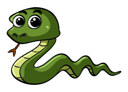 Green snake crawling on white background