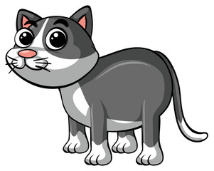 Cute cat with gray fur
