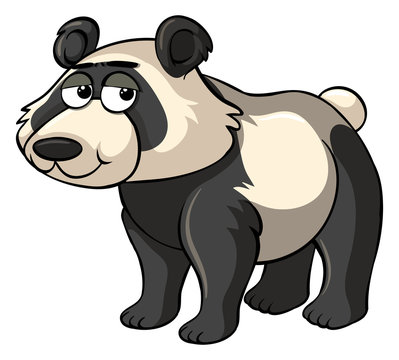 Sad panda on white background