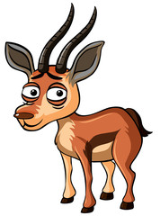 Gazelle with sad face on white background