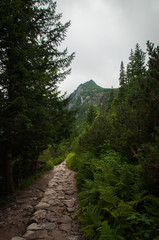 Obraz premium Tatry, Zakopane, Mountains, Poland