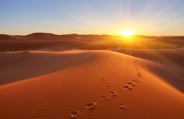 Belles dunes de sable dans le désert