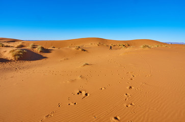 Sand dunes in the Sahara Desert, Morocco