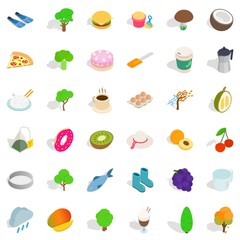 Vegetarian kitchen icons set, isometric style