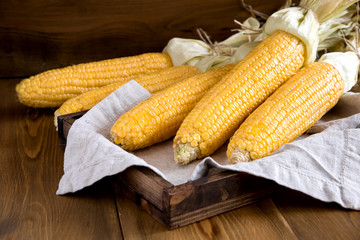 Ripe fresh corn cobs on rustic wooden tray Horizontal Wooden background