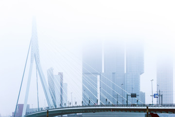Erasmus bridge of Rotterdam City Netherlands