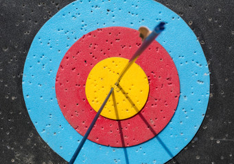 Arrows hit goal ring in archery target