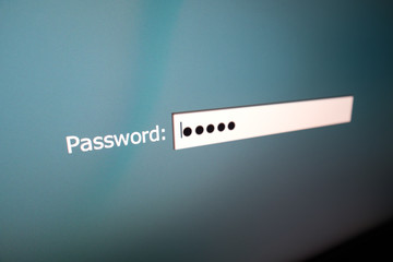 Closeup Password input box in internet browser on computer screen