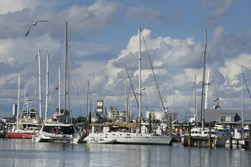 Fototapeta premium A harbor in Key West, Florida with a lot of boats and beautiful white, fluffy clouds against blue skies.