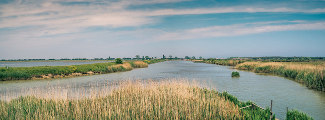 Panoramic view into the Regional Park of Po River Delta. Ravenna province, Emilia Romagna, Italy.