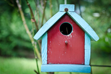 Red and Blue Bird House in Green Trees